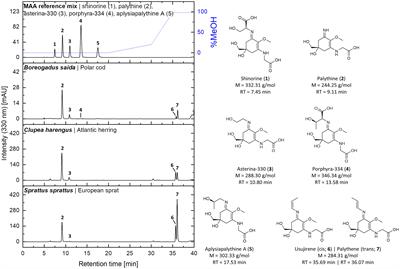 UV-absorbing mycosporine-like amino acids in the eyes of temperate marine and freshwater fish species